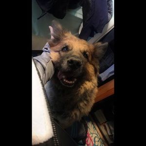 Meet your Posher, Aliyah